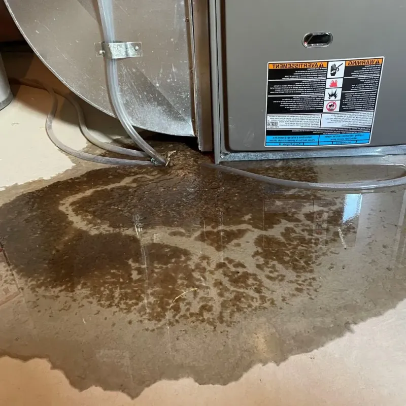 Pipe Burst and Leak Restoration in Piscataquis County, ME