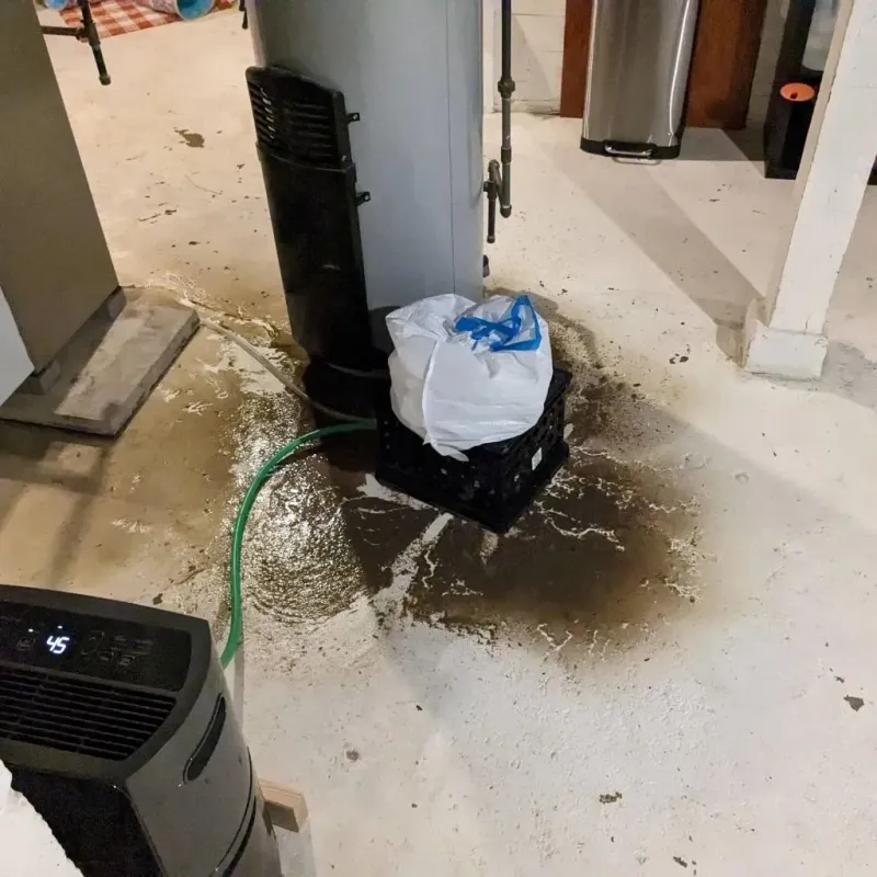 Sewage Backup Cleanup Service in Piscataquis County, ME